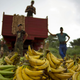 In this Sept. 30, 2013 photo, banana growers wait next to their truck for customers at the 114th Street Market on the outskirts of Havana, Cuba. "Here it's always cheaper than in the markets or kiosks" in the city’s crowded neighborhoods, said Argelio Mendez, a government official who runs the market. (AP Photo/Ramon Espinosa